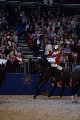 Cavalry - 00157